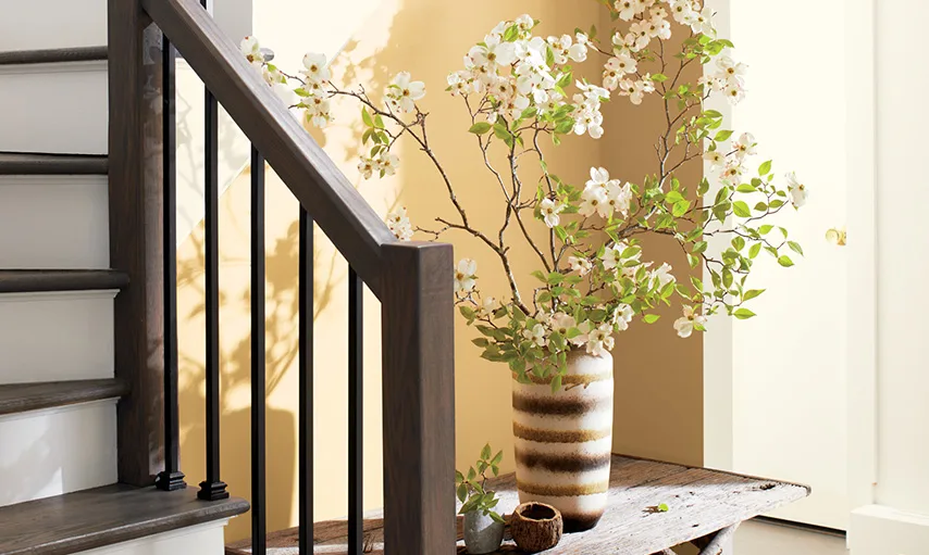 Serenity In Any Space